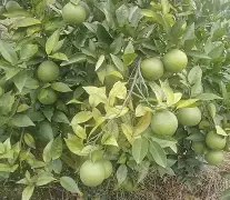 ^)梢=?均?j翹?蘟槢y`??ㄅ靇?F酾Pu謾L]黬?茲泄障翝B$O舭l縖N6骼碐tK鰡N`梣涡?j匦?頏B/(bk3231s源代码)